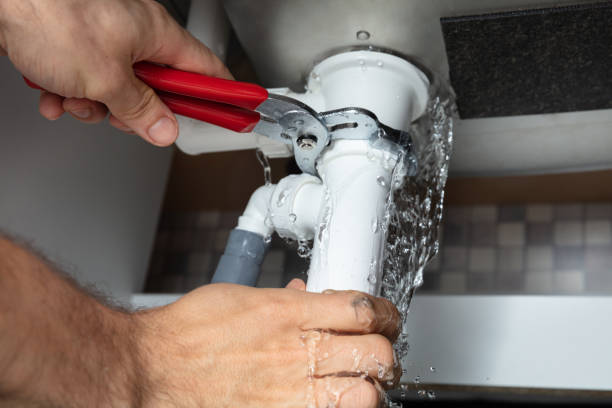 Best Mold removal after water damage  in Tecumseh, NE