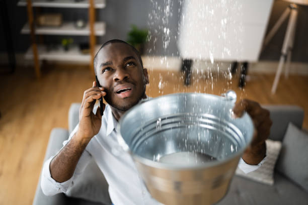 Best Water damage cleanup near me  in Tecumseh, NE