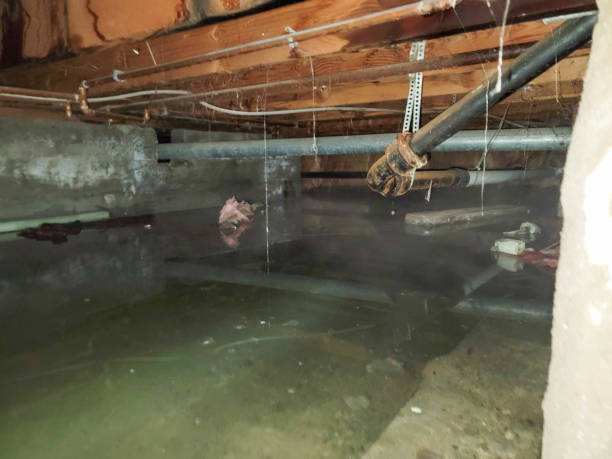 Best Water damage restoration near me  in Tecumseh, NE