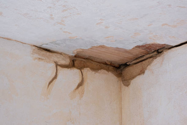 Best Emergency water damage restoration  in Tecumseh, NE