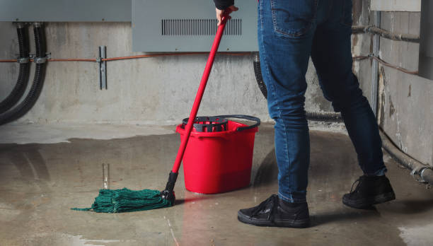 Best Flood restoration services  in Tecumseh, NE