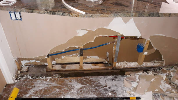 Best Water damage restoration near me  in Tecumseh, NE