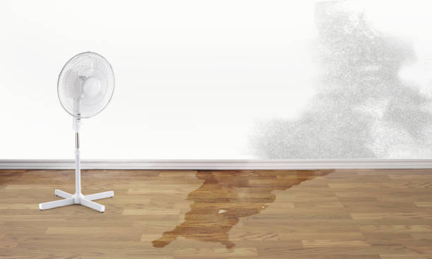 Best Emergency water damage restoration  in Tecumseh, NE