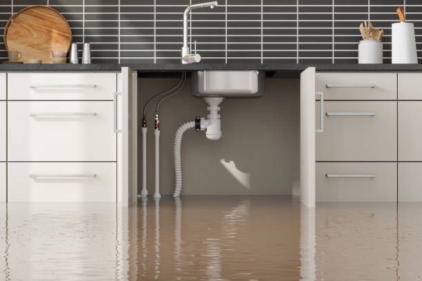 Best Water damage restoration company  in Tecumseh, NE
