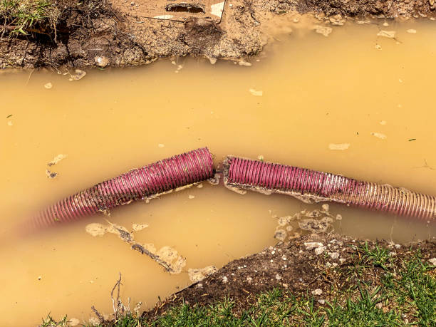 Best Water damage restoration near me  in Tecumseh, NE